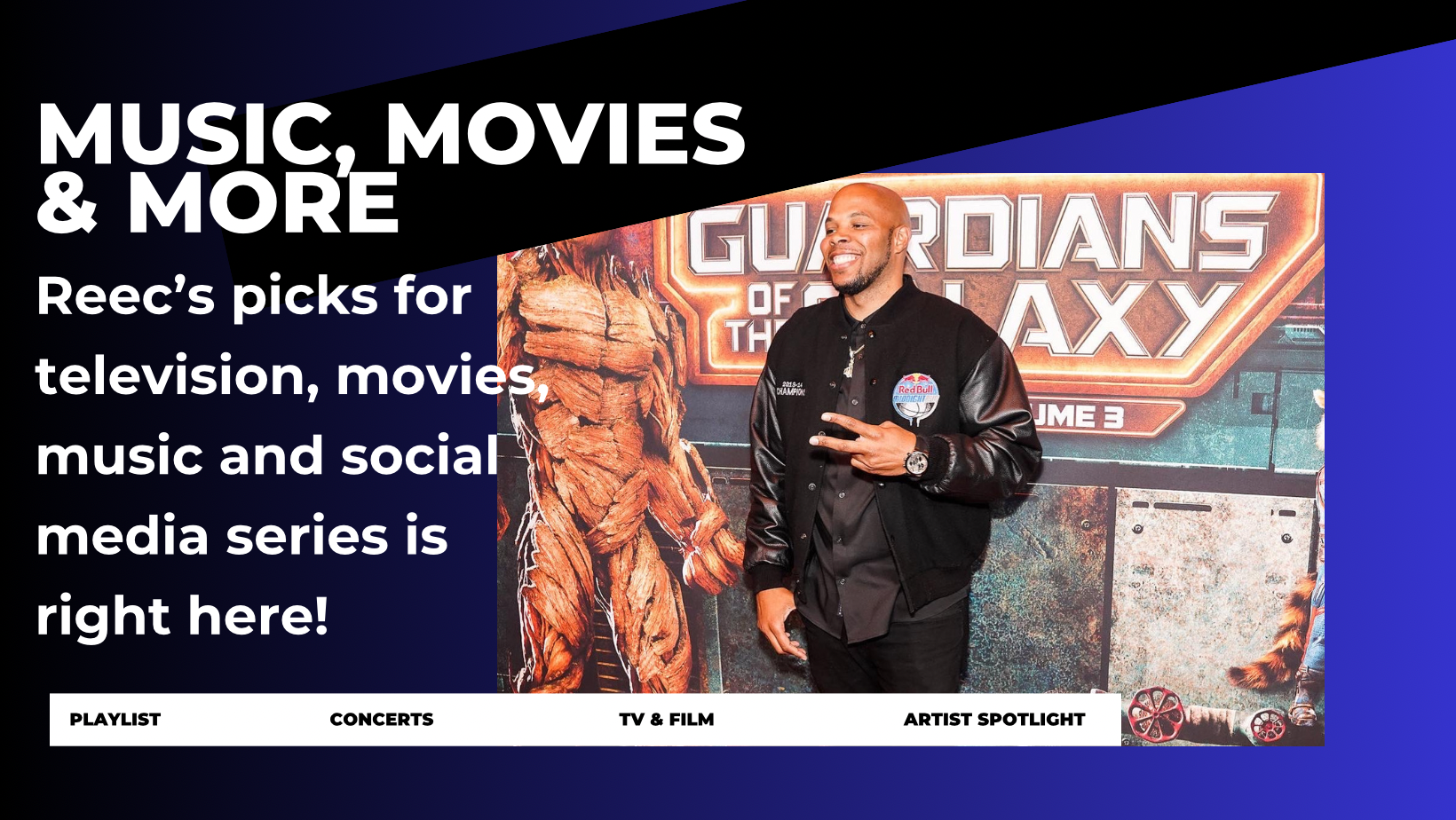 Reec generic covers for Majic Atl