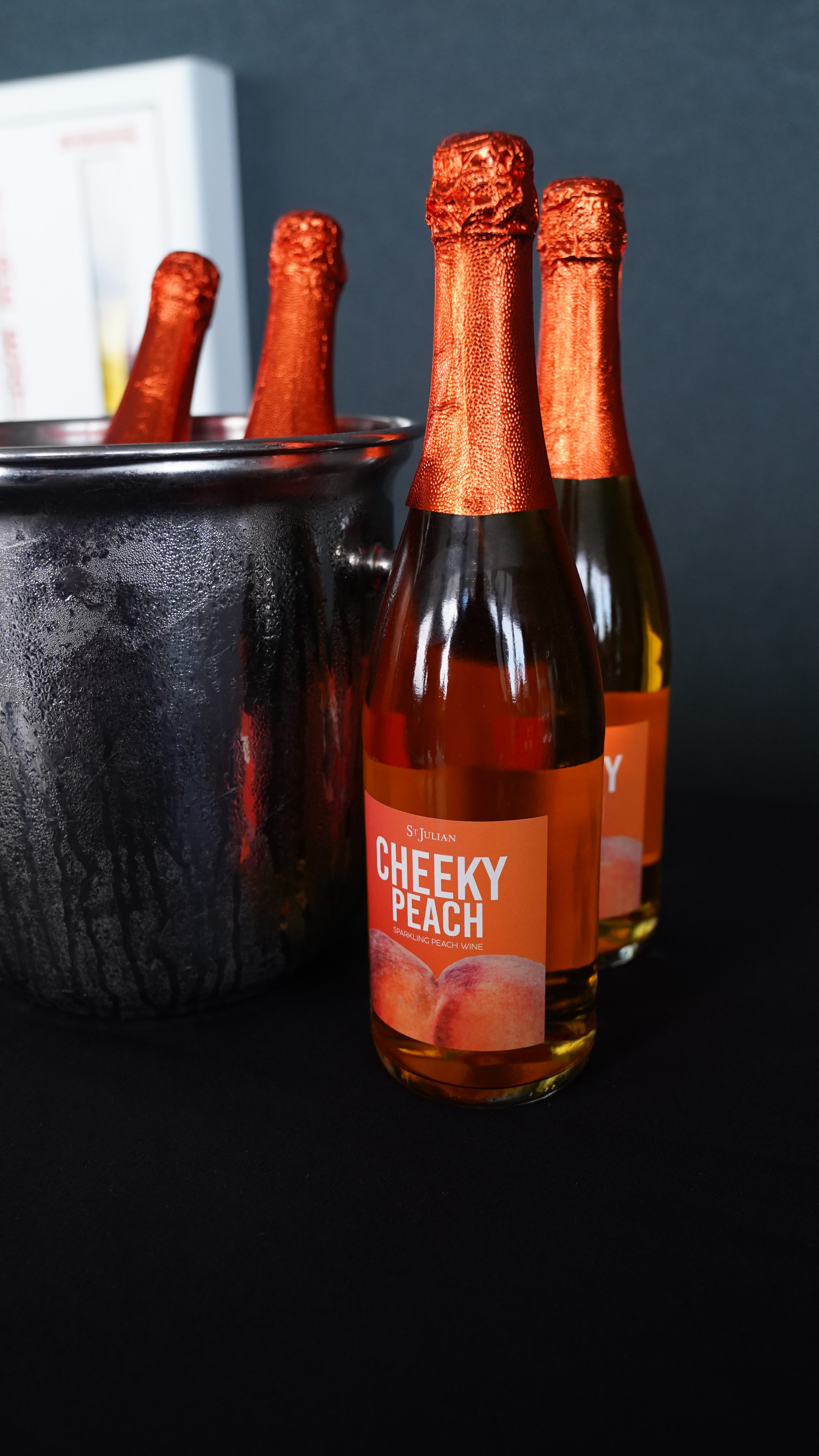 Ryan Cameron Pull Up - Teachers' Edition